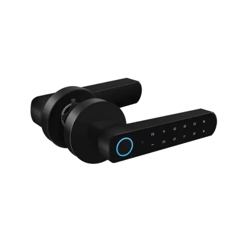 XAC‑MSLD100 Bluetooth Handle‑T
